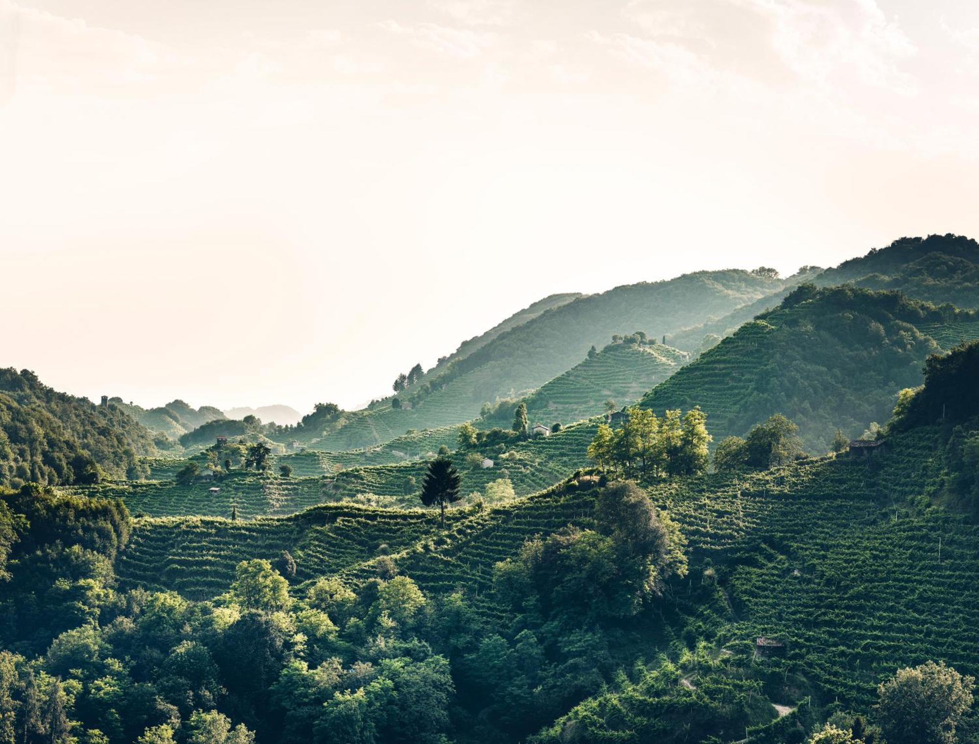 Locanda Da Lino Pieve di Soligo Zewnętrze zdjęcie
